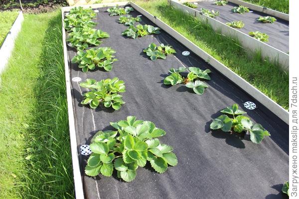 Нетканный материал