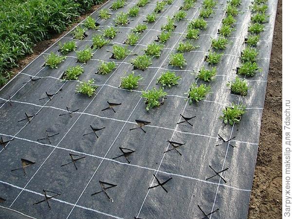 Тканный материал