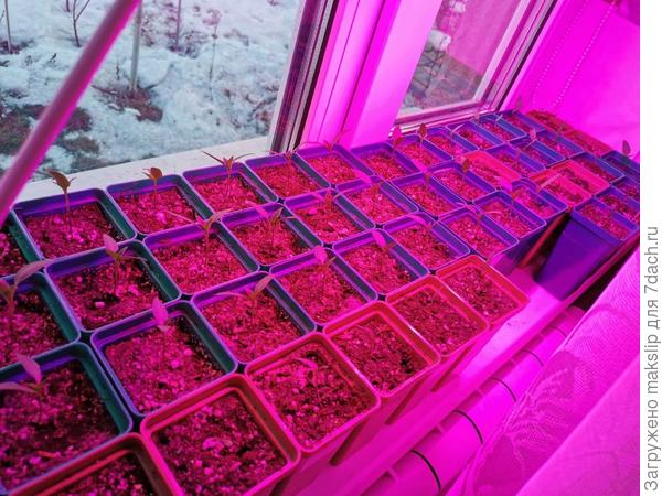 Всё забито!))))