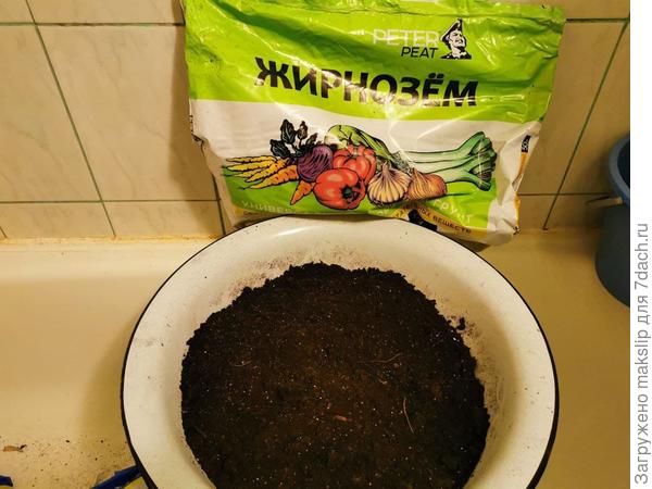 Грунт Жирнозем