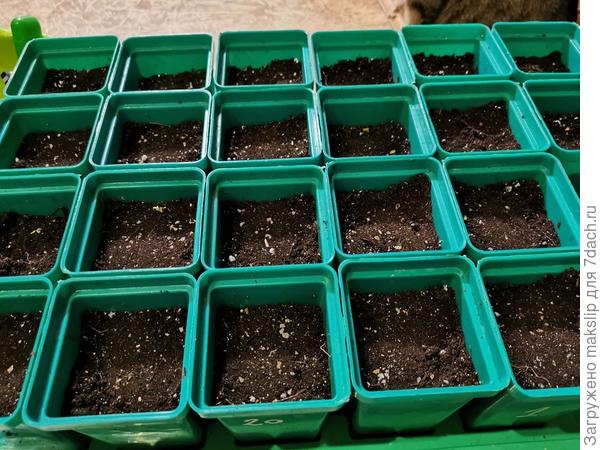 Готовы к посеву