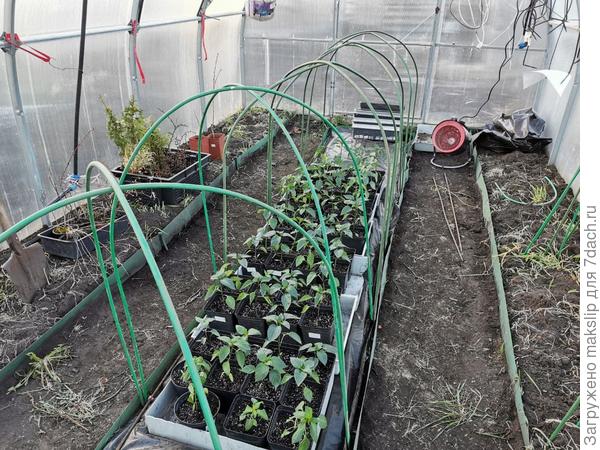 Сооружаем парник