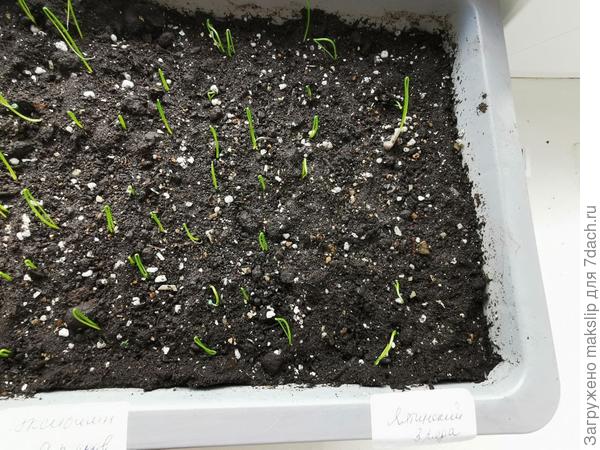 Справа, 3 рядка