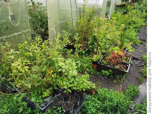 Посчитайте!))))