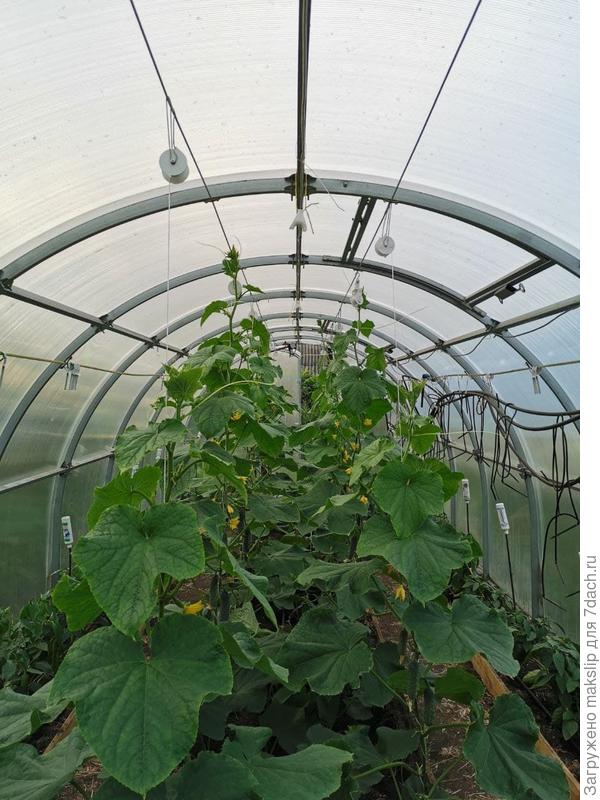 Видите катушки под потолком?