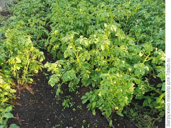 Ряд разваливается