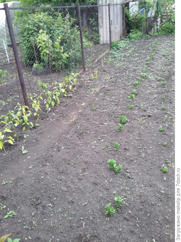 Под лопату, глубоко