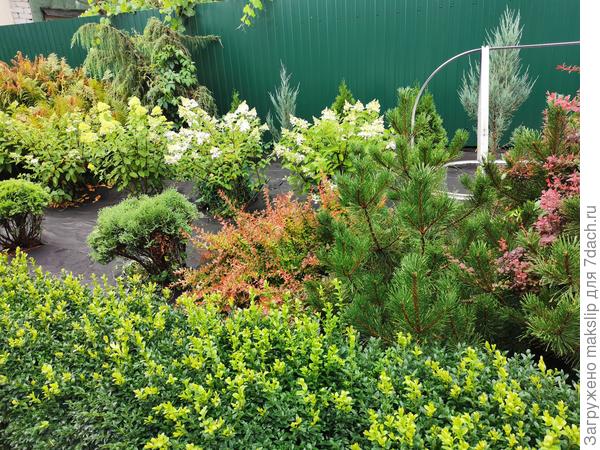 Все воспрянуло после дождя