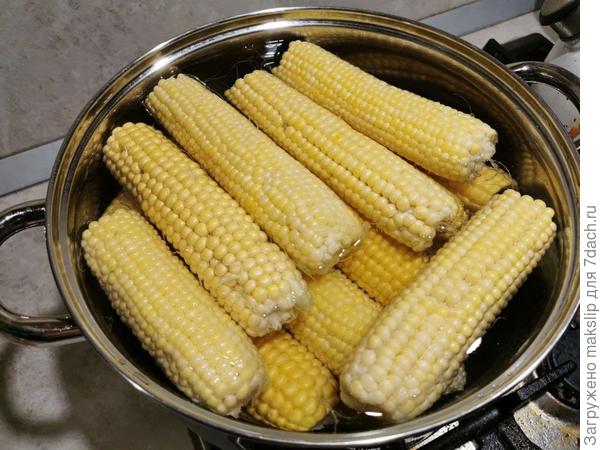 Лакомимся молодой кукурузой