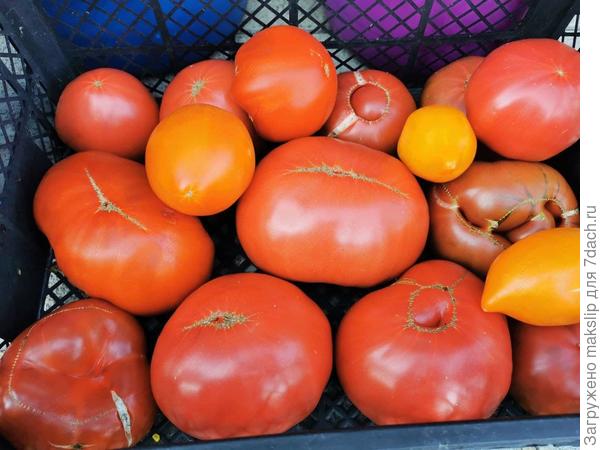 Бифы просто супер! Огромное спасибо Алле из Ханты-Мансийска и Татьяне Никифоровой из Москвы!