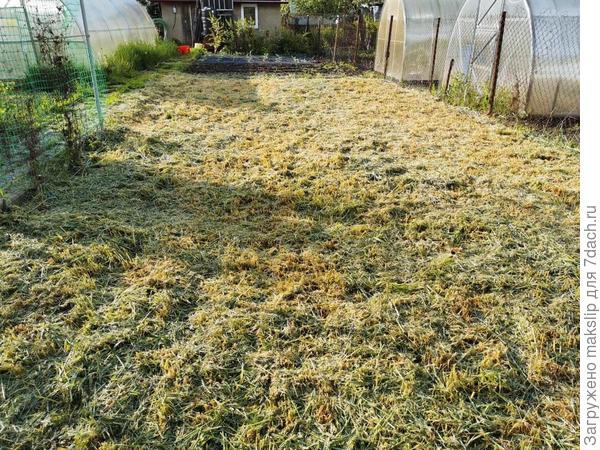 Как сажать?)))