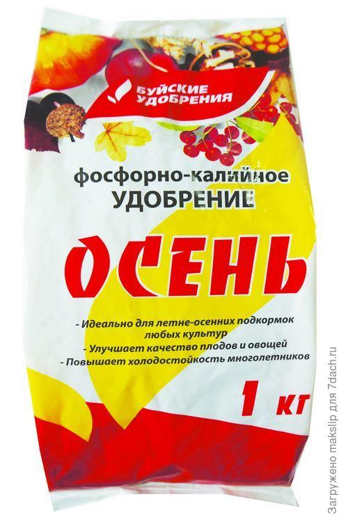 Осень