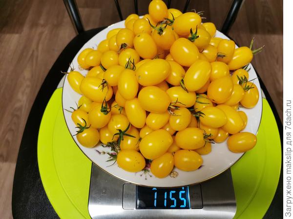 Клубничка желтая