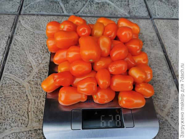 Клубничка оранжевая