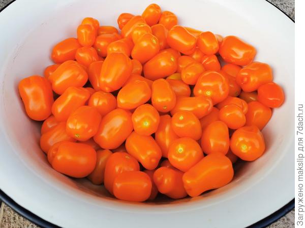Общий урожай томата Клубничка оранжевая