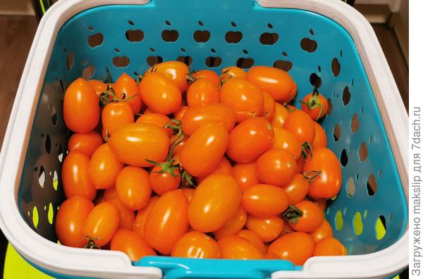 Клубничка оранжевая