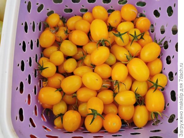 Клубничка желтая