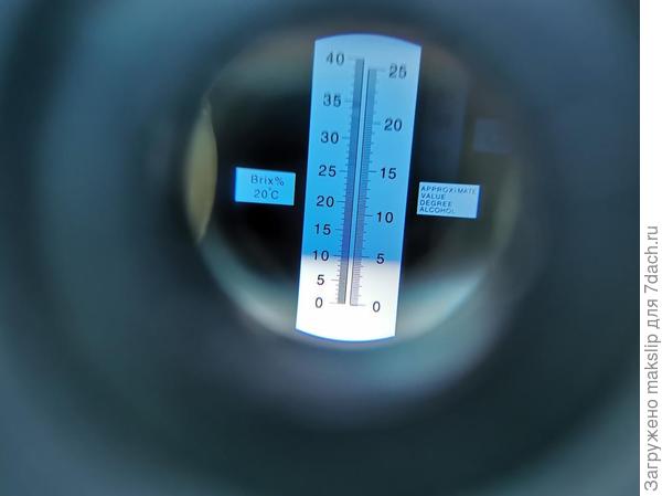 Клубничка желтая