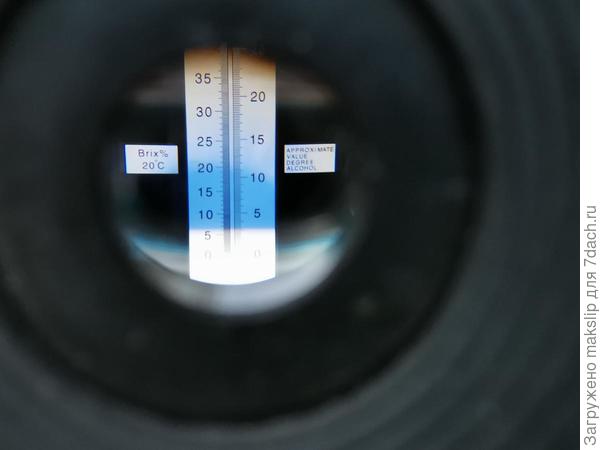 Персик белый