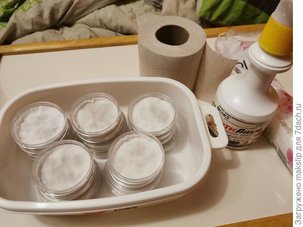 Проращиватель)))