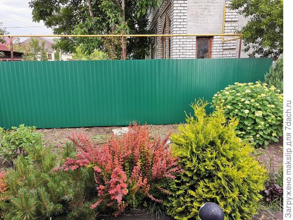 После облагораживания профлистом