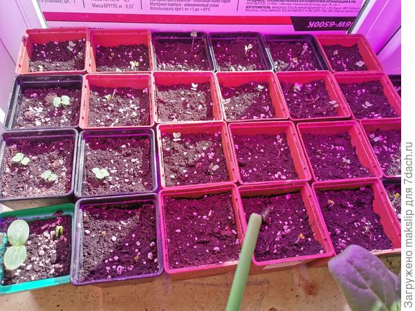 Например вот так....