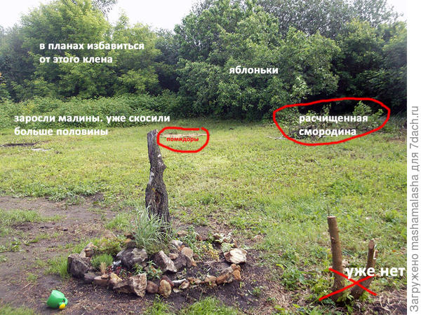 сад