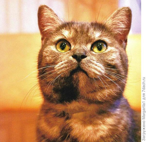 Что-то новенькое?