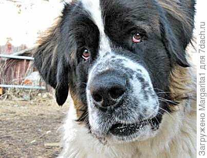 Всё нормально?