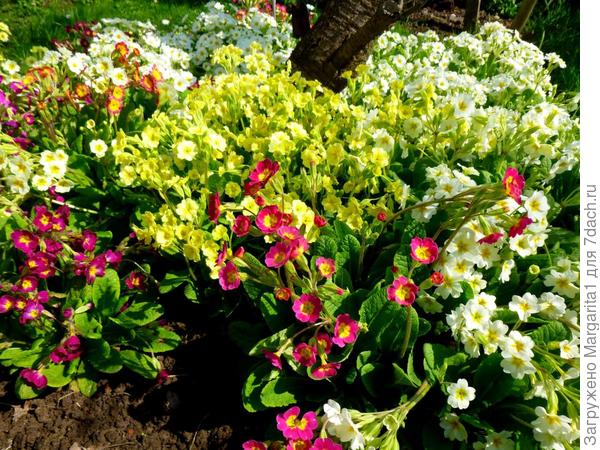 И будут новые варианты