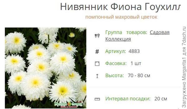 Вот такое обещали