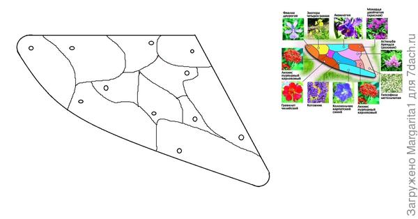 Солитер цветник схема