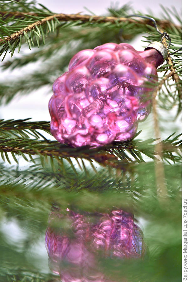 Судя по выпуклостям, это шишка