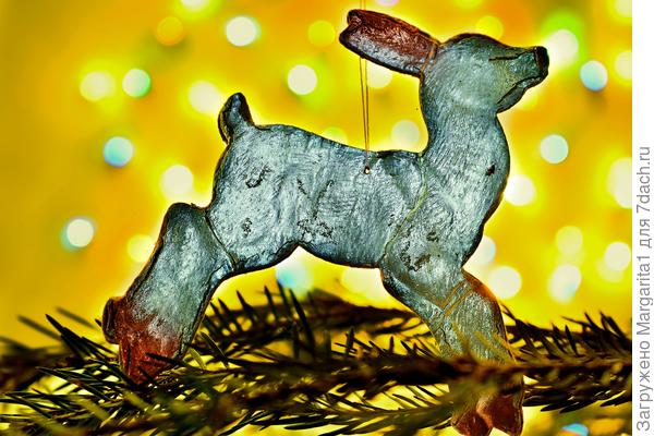 Братец Иванушка  после питья из копытца