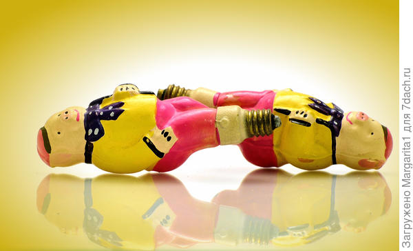 Два (не Три!) поросенка