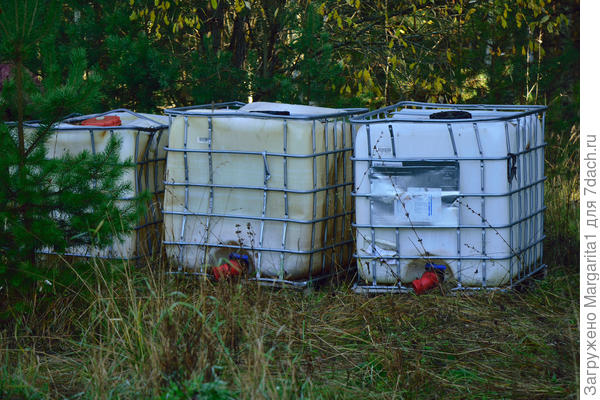 Эти кубы какое-то предприятие выбросило в лесу.