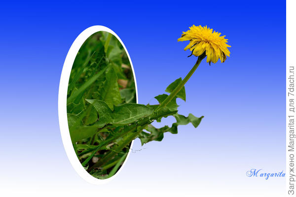 Любопытство не порок