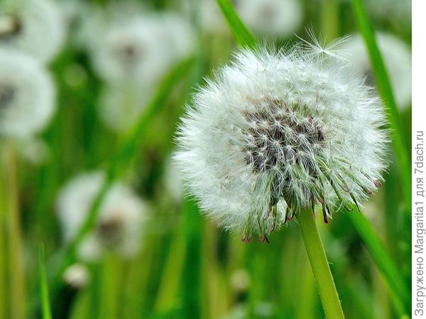 Миссия выполнима