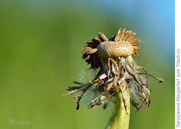 Что-то пошло не так...