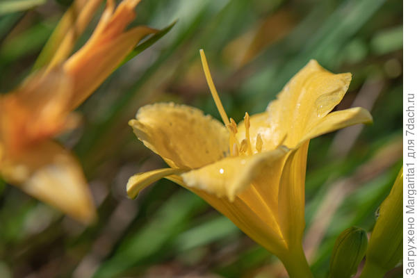 В конеце сентября