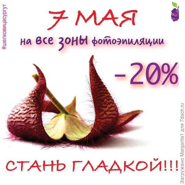 Вот во что превратили