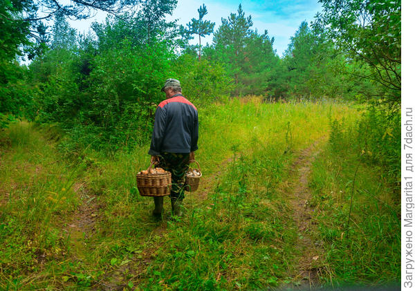 На распутье