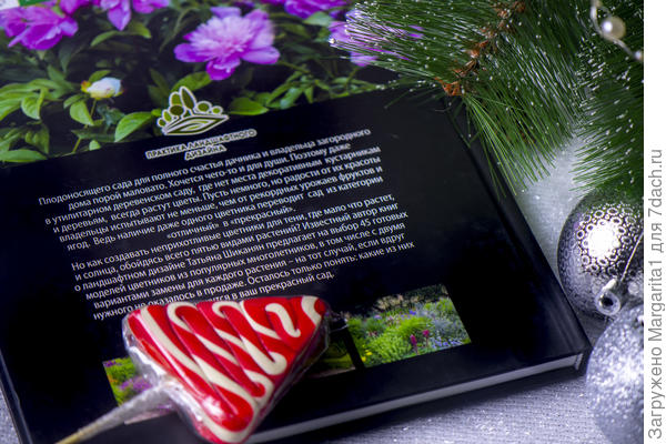 Не книга, а просто конфетка  !