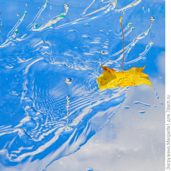 Расплескалась неба синева