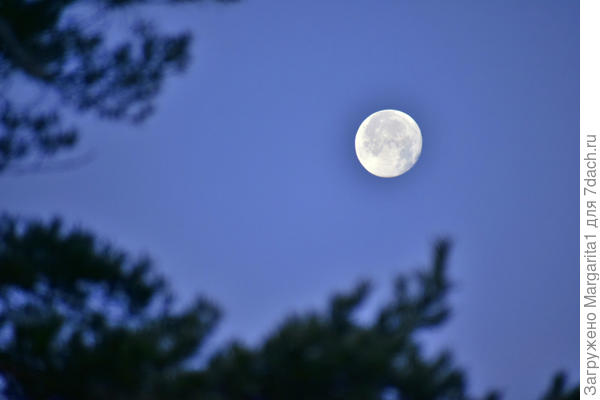 Еще не вечер