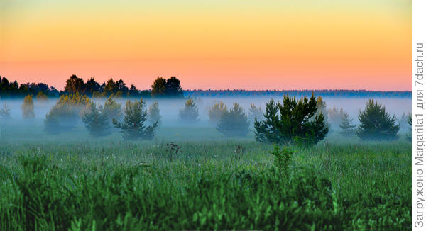 Небо. Туман. Трава
