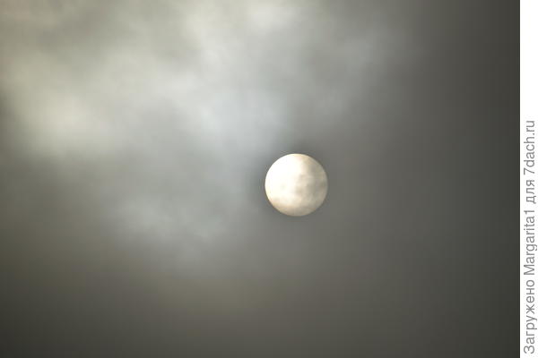 И на солнце бывают пятна