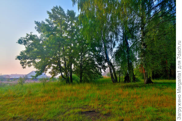 Август. Трава желтеет