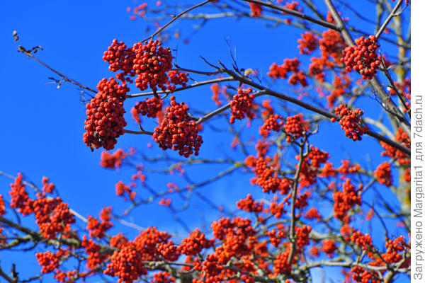 Красный и синий