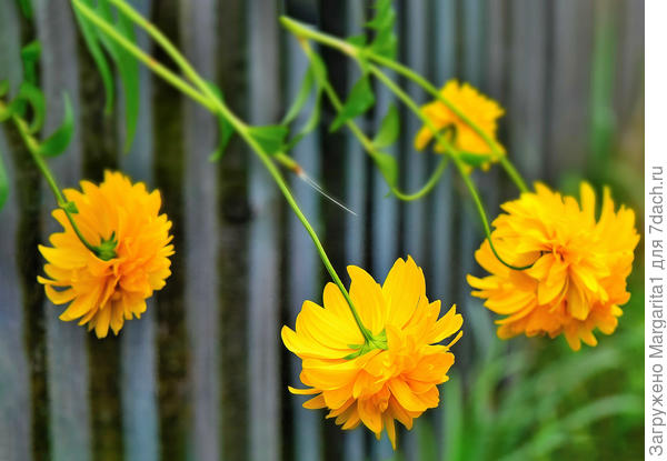 Мало, мало, мало места!